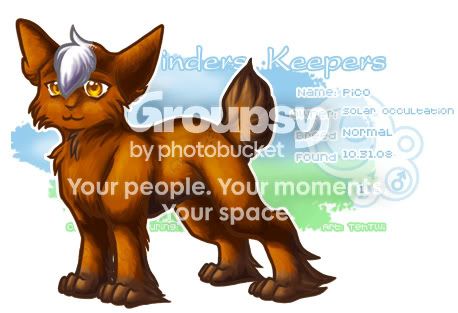 User Image